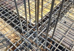 240608608_913828982876484_226102539505672318_n